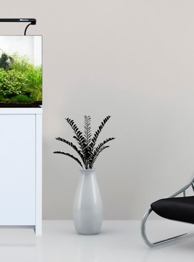 Buy Aqua One AquaNano 40 UAE 55L Tropical Aquarium Kit