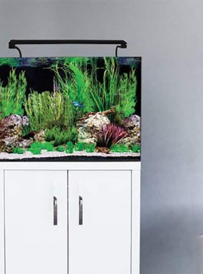 Buy Aqua One AquaNano 60 UAE 100L Tropical Aquarium Kit
