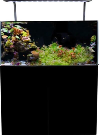 Aqua One MiniReef UAE Marine Aquarium Set