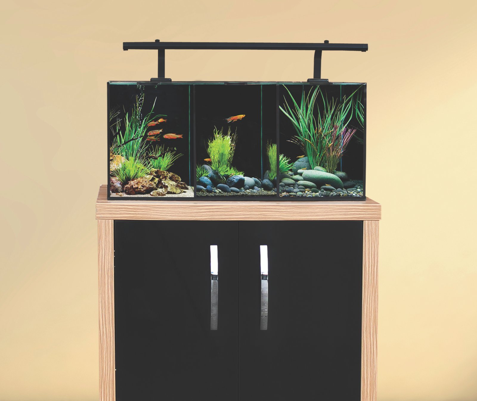 Buy Aqua One Betta Trio UAE Multi-Compartment Aquarium