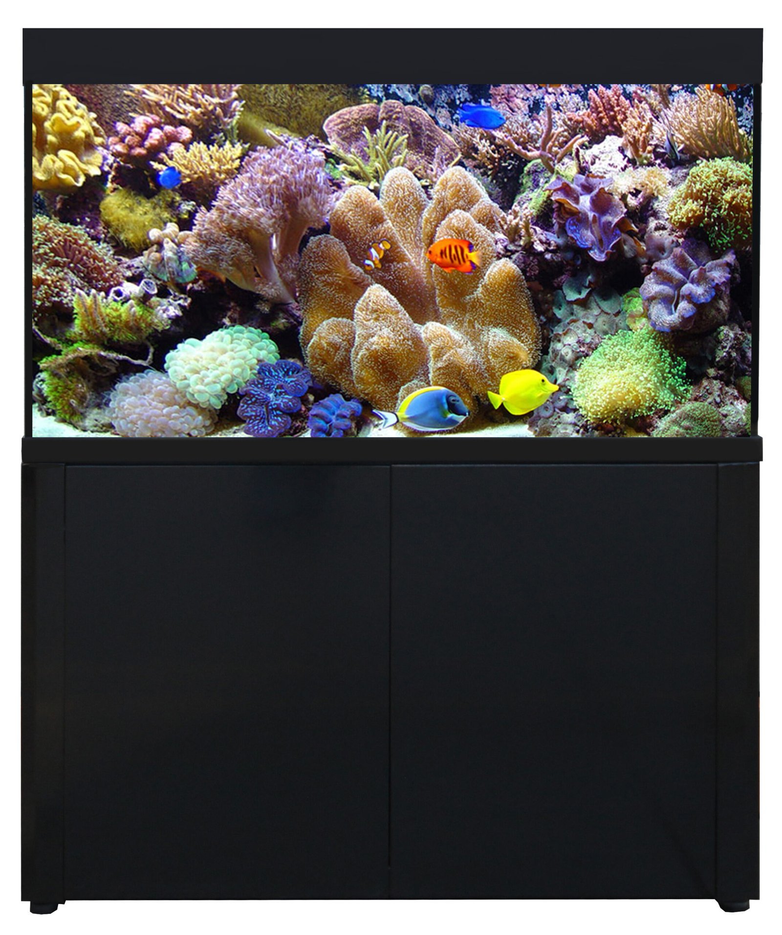 Buy Aqua One AquaReef UAE Marine Tank with Sump